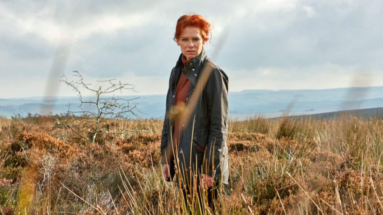 Charlotte Link - Die Suche backdrop