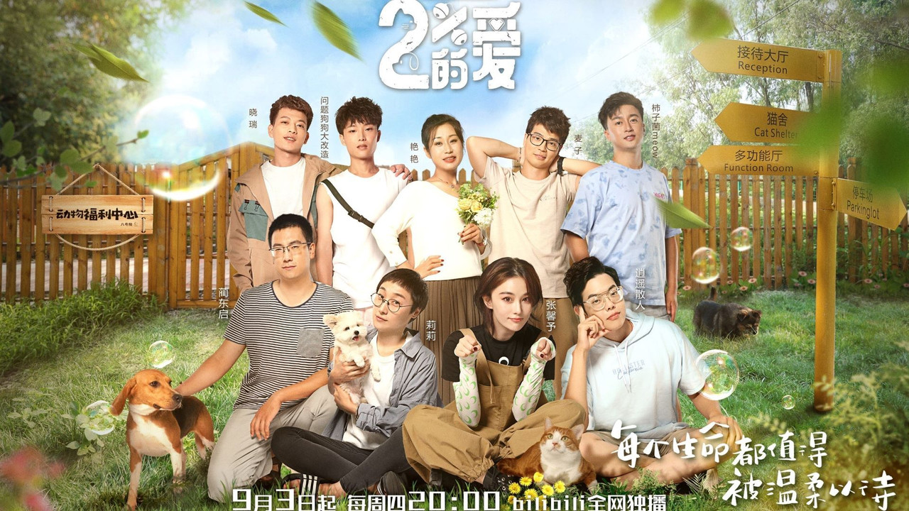 百分之二的爱 backdrop