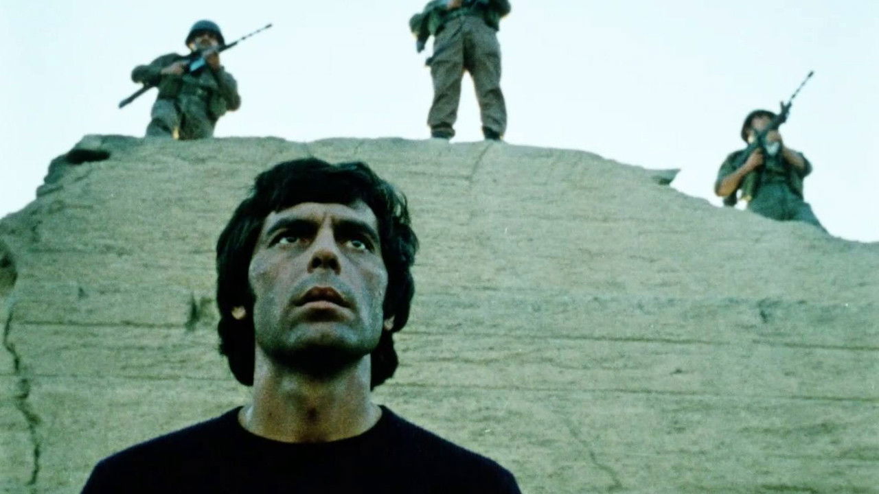 Night Over Chile backdrop