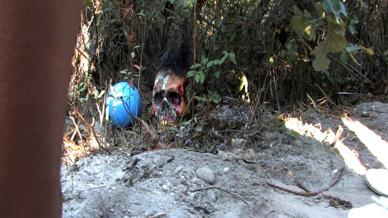 Secret Beach Party backdrop