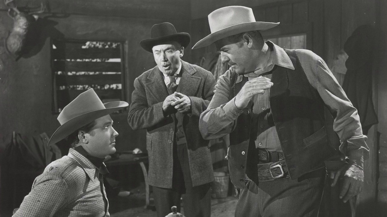 The Timber Trail backdrop