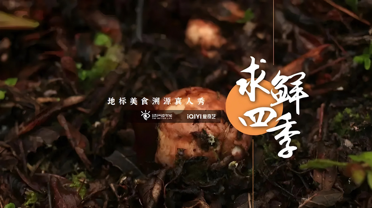 求鲜四季 backdrop