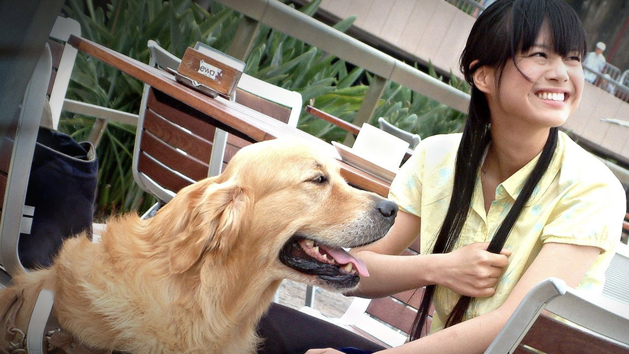 米可，GO！ backdrop