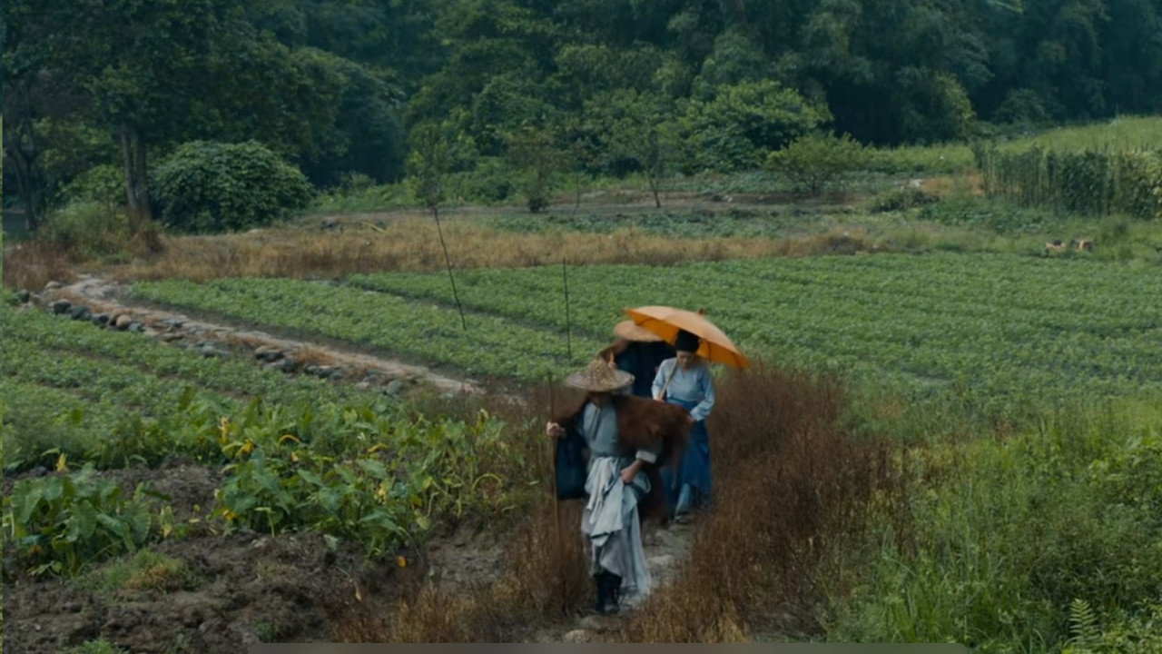 罗浮山下 backdrop