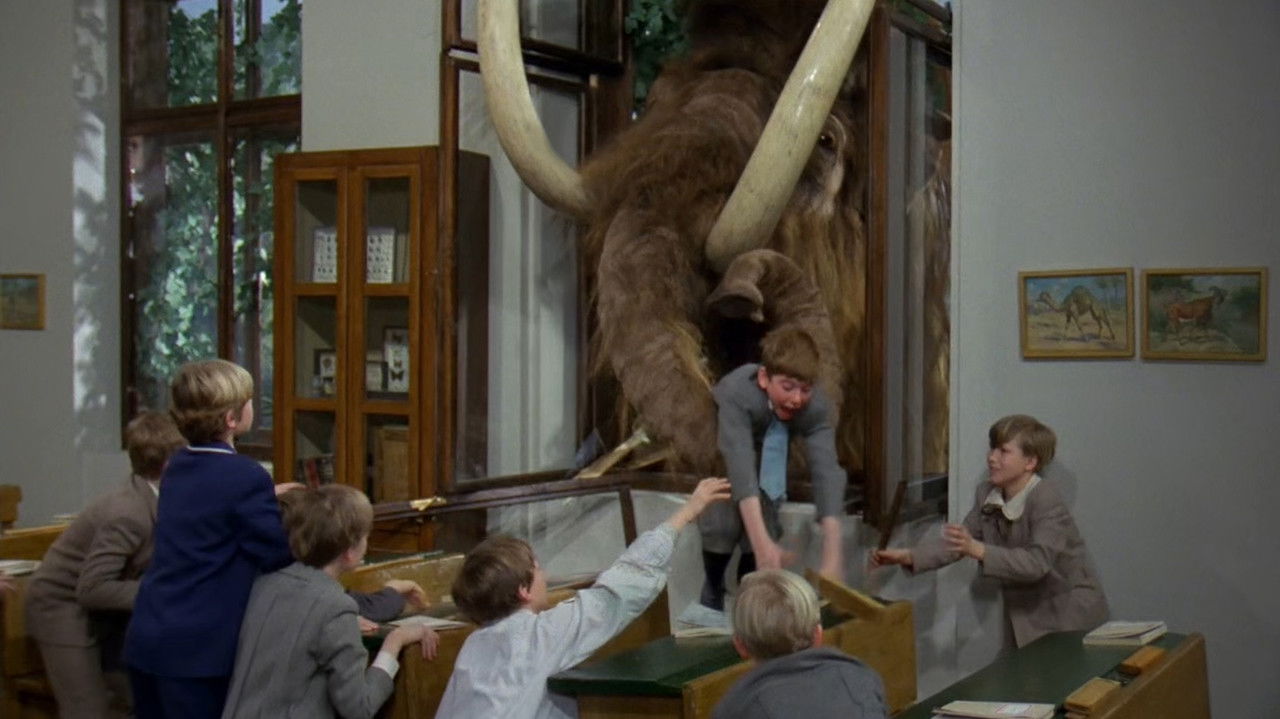 Křeček v noční košili backdrop