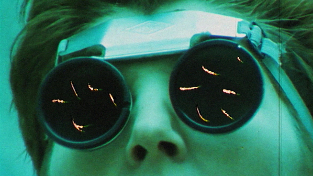 Reproduta interdita backdrop