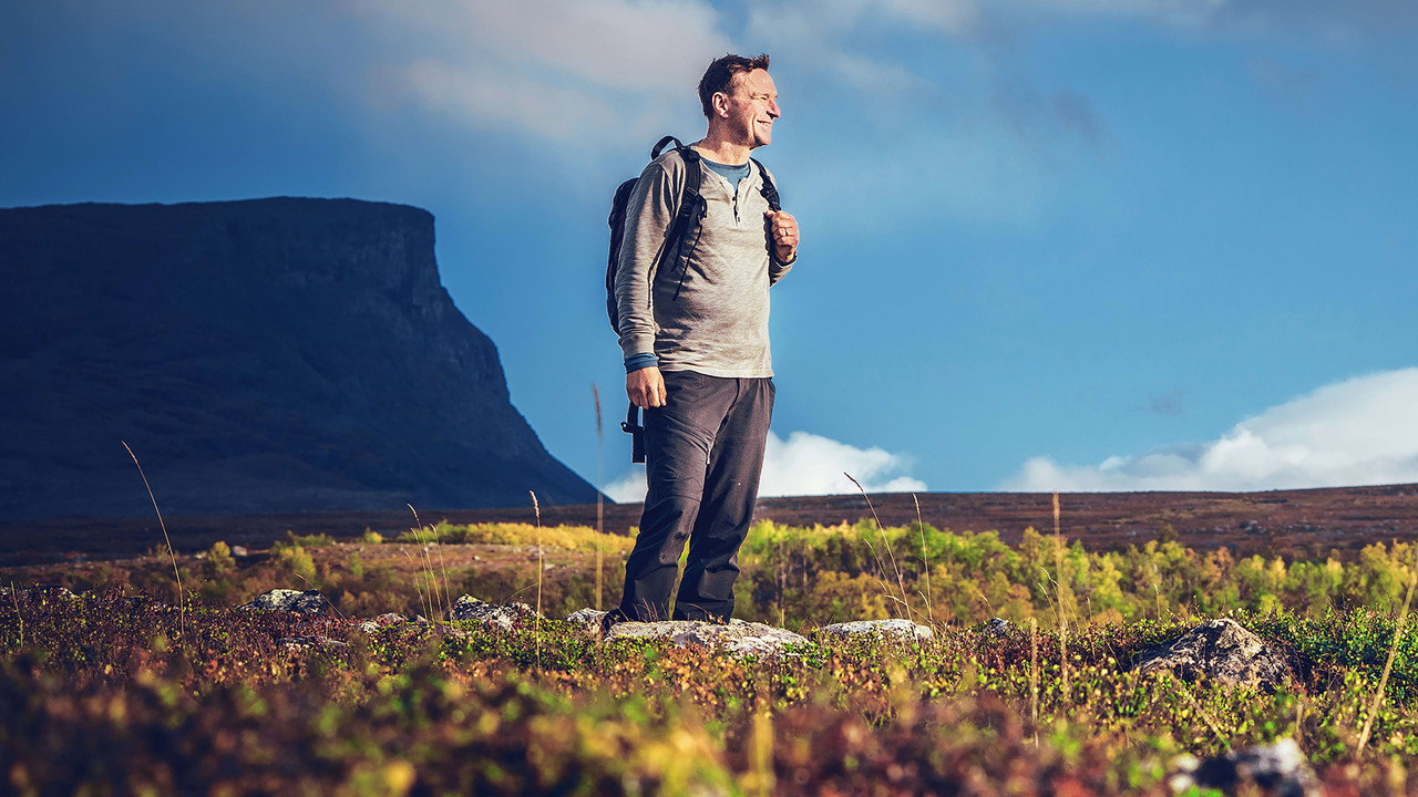 A Wilder World backdrop