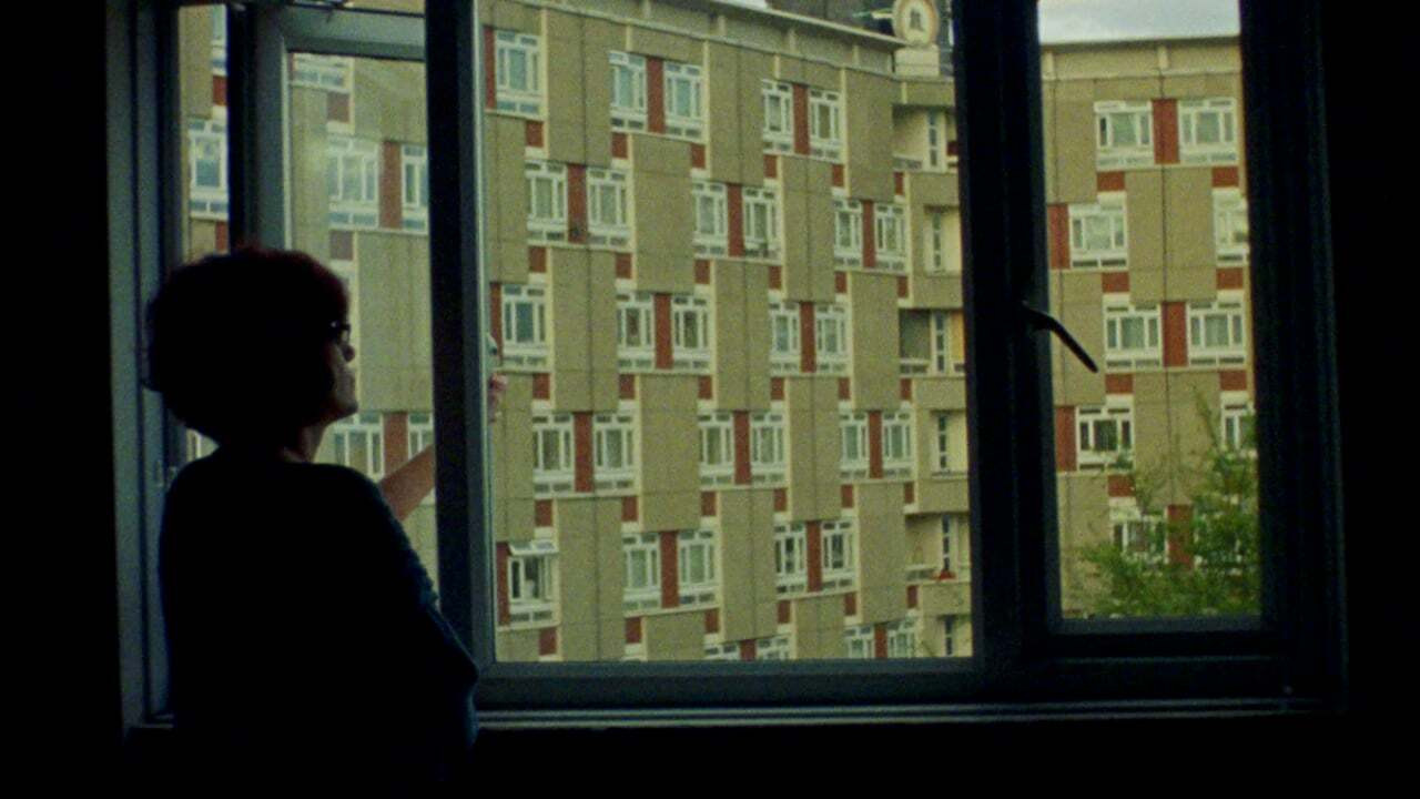 Dear Babylon backdrop