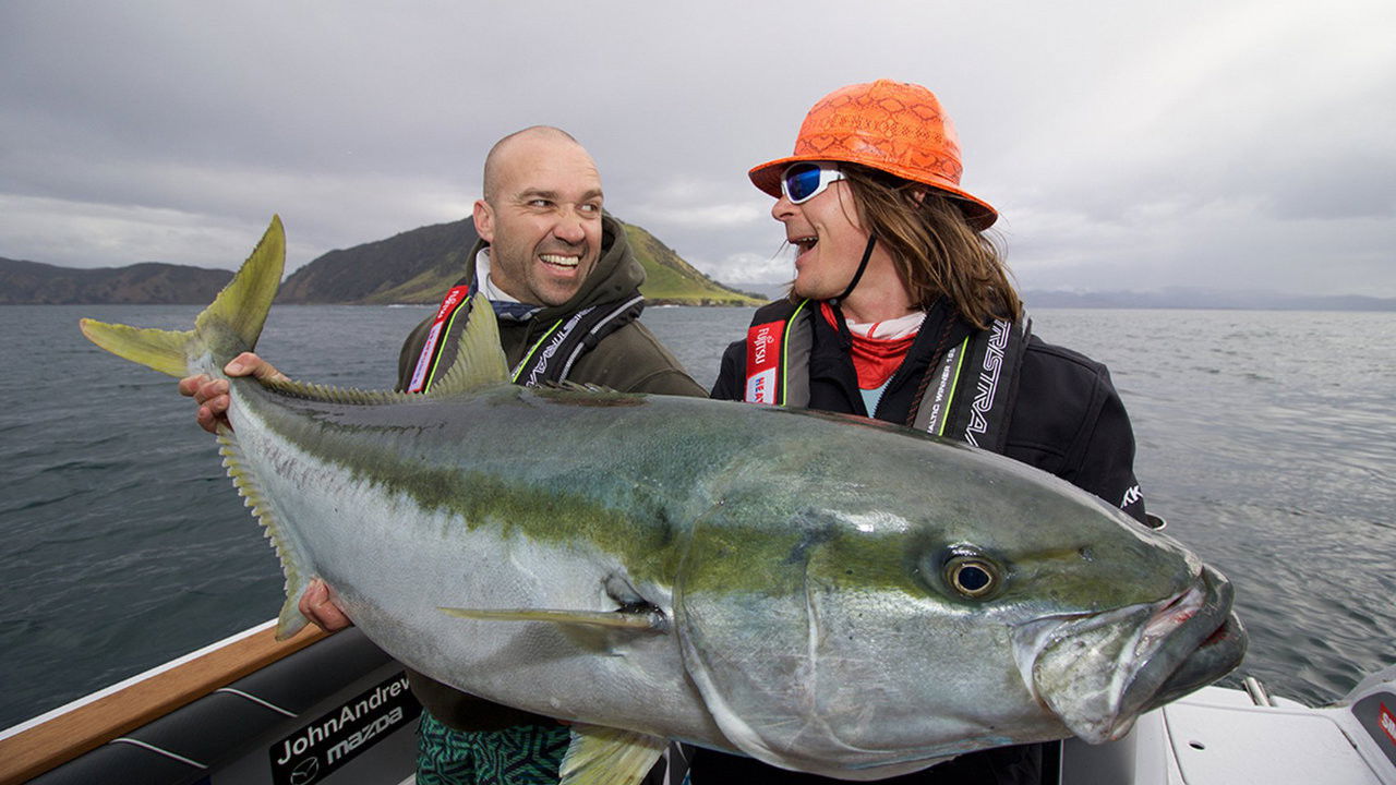 Big Angry Fish backdrop