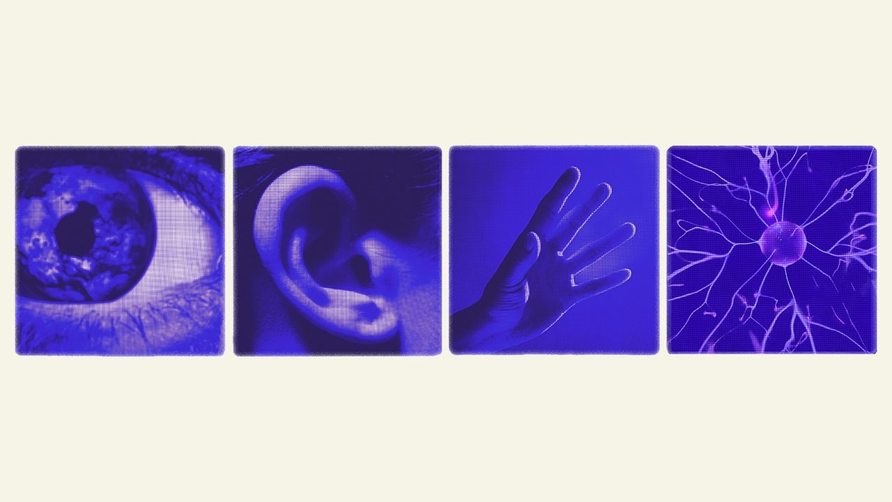 True Believers backdrop