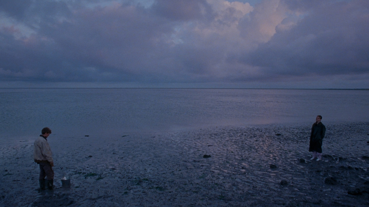 Closed Oysters Can't Speak backdrop