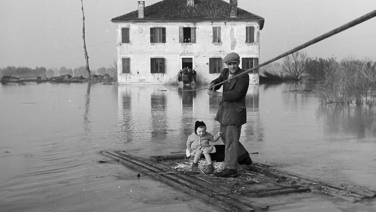 9×10 Ninety backdrop