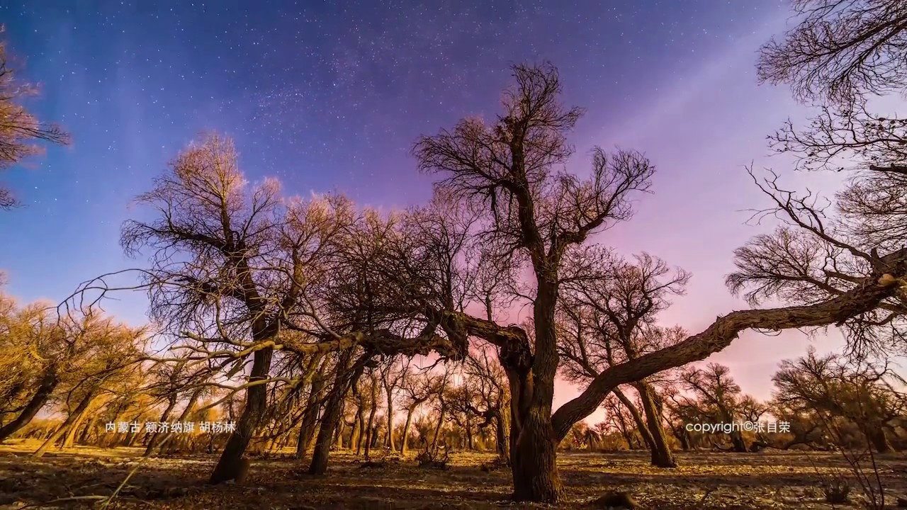 China in Motion backdrop