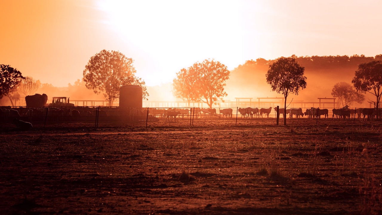 The Dirtwater Dynasty backdrop