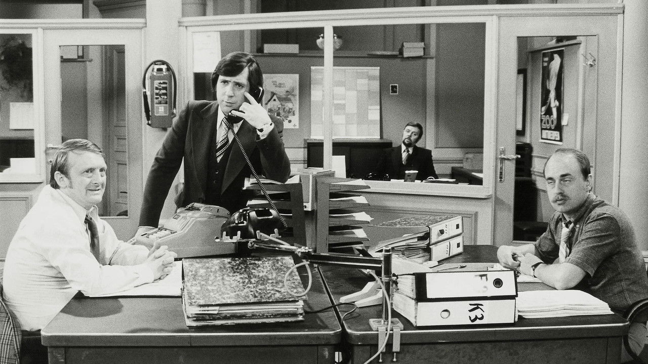 De Collega's backdrop