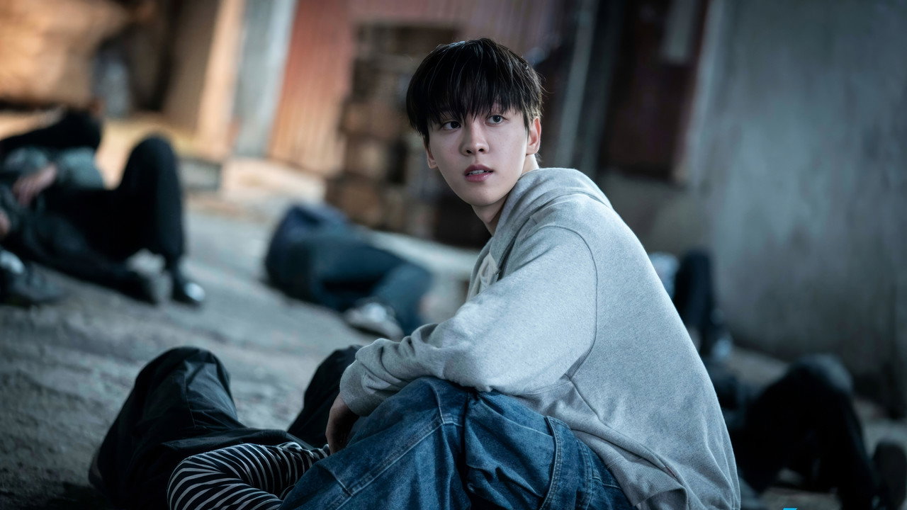 파이트 스쿨: 랭커들의 전쟁 backdrop