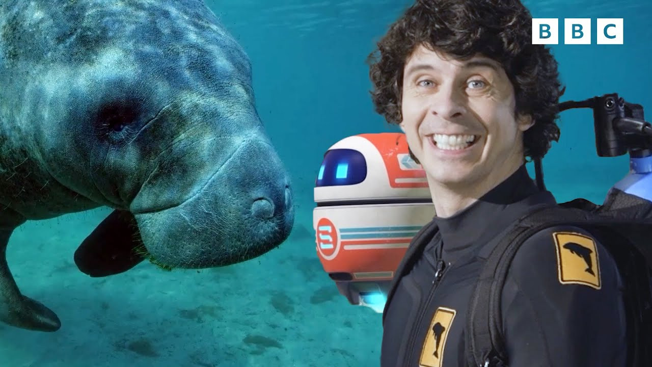 Andy's Global Adventures backdrop