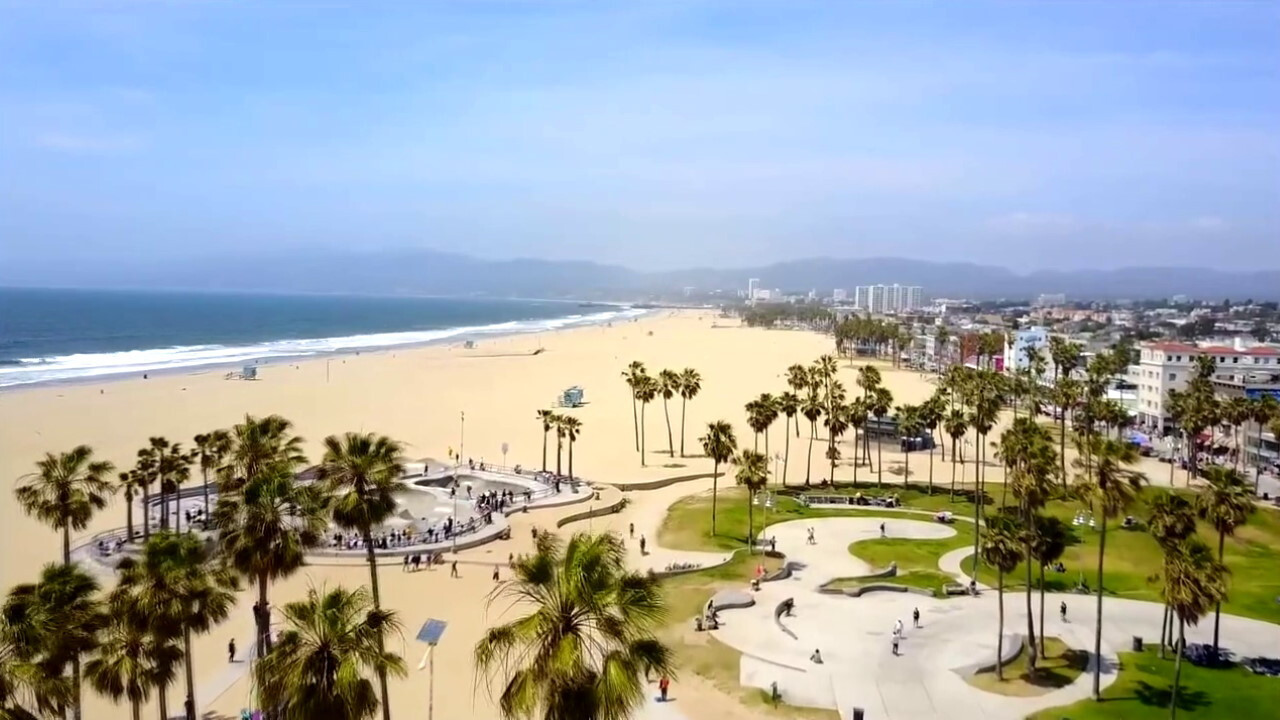 Beach Babe Bingo backdrop