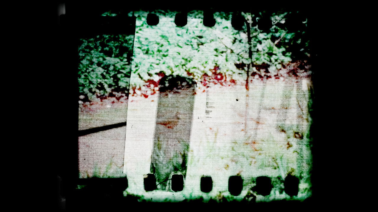 Reconsiderações de um Lar backdrop