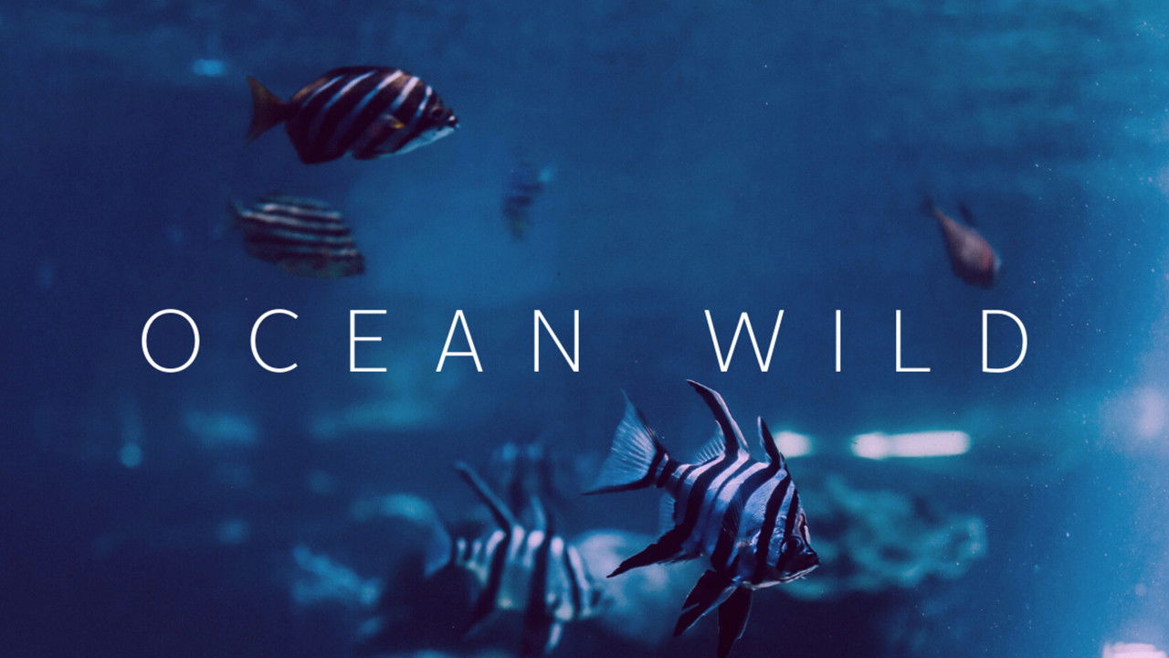 Ocean Wild backdrop