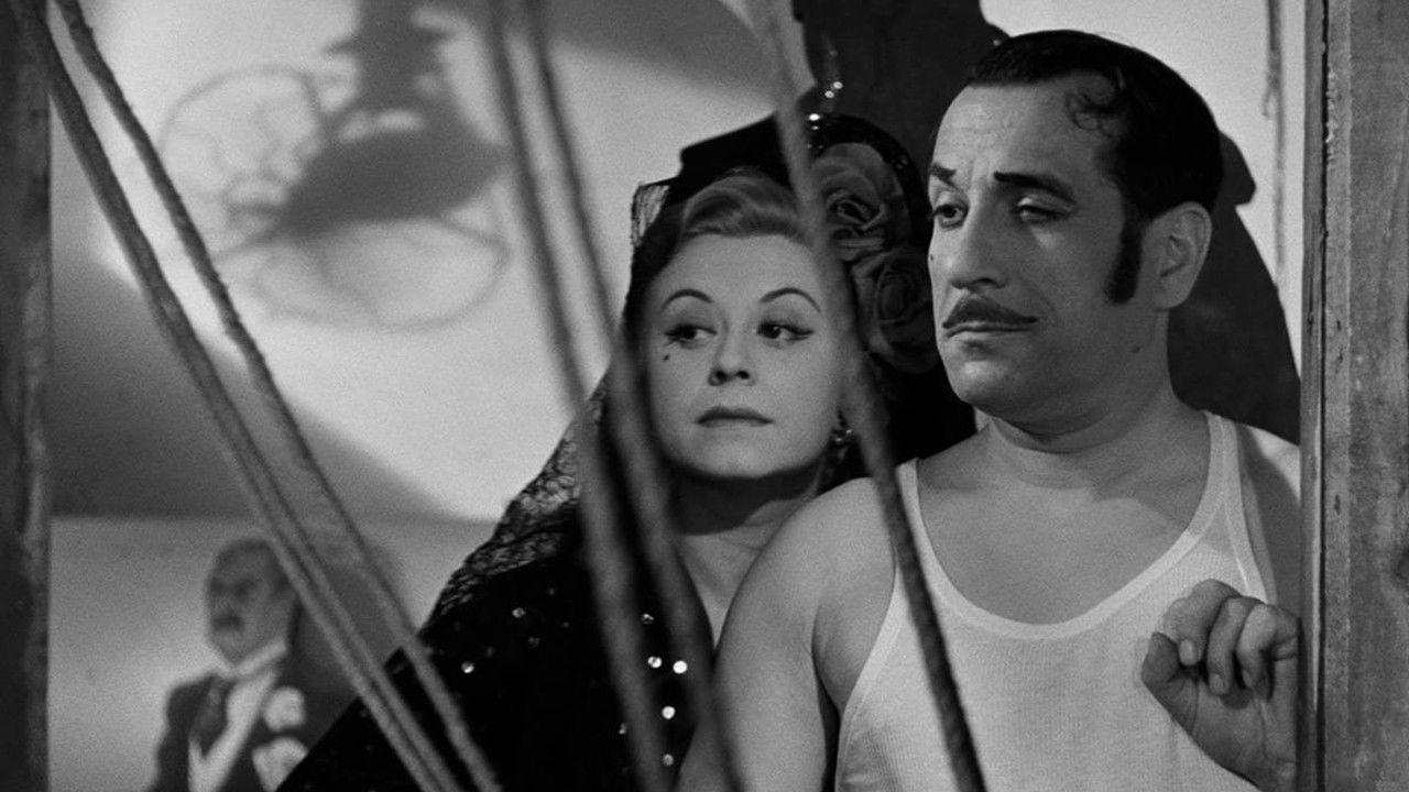 Variety Lights backdrop