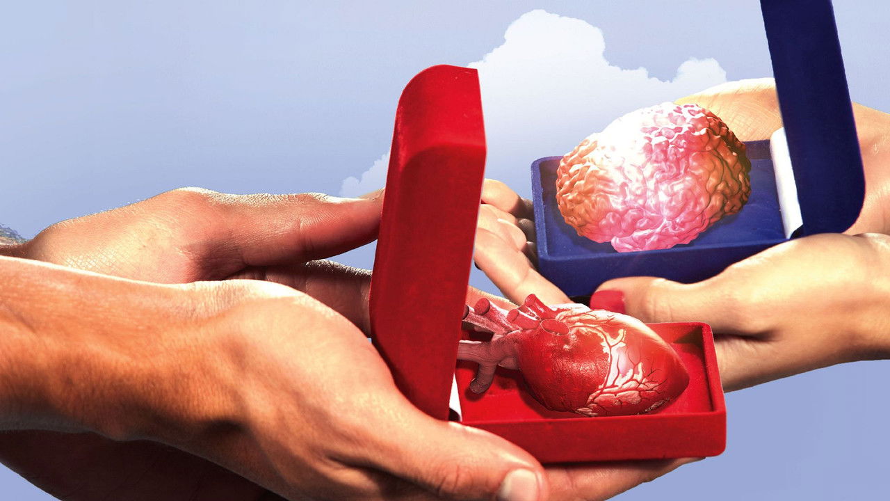 Are You the One? El match perfecto backdrop