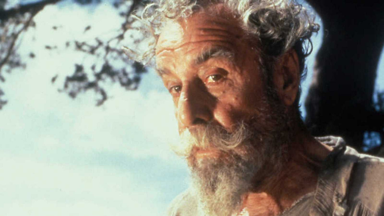 Don Quijote de la Mancha backdrop