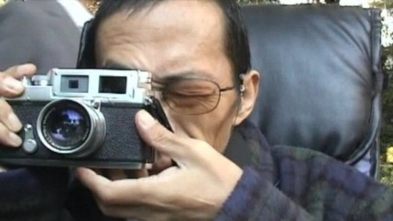 Letter from a Yellow Cherry Blossom backdrop