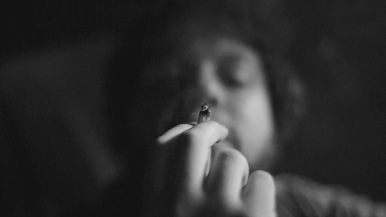 Transversal 30ff backdrop