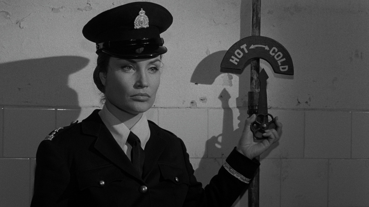 Devil's Girls backdrop