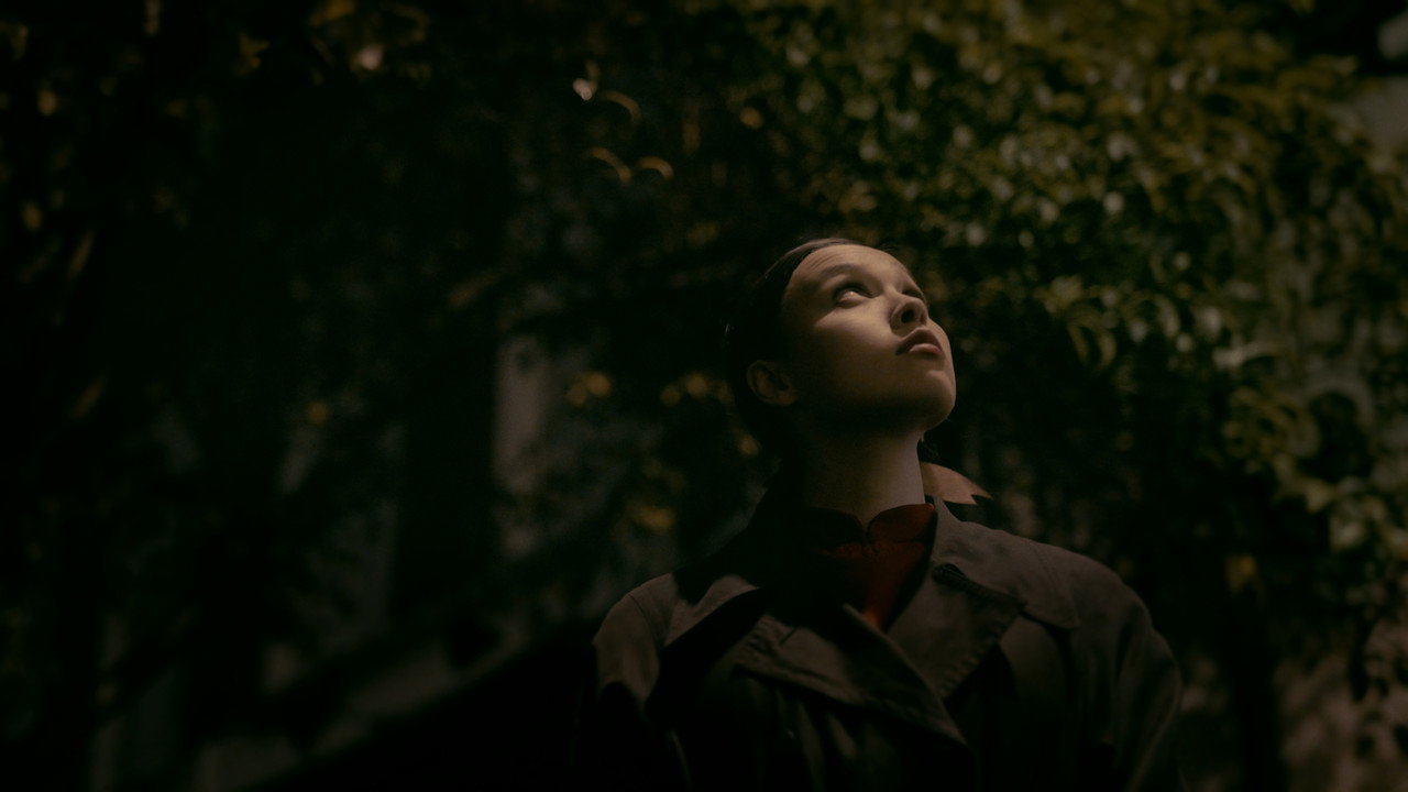 Midnight Whispers backdrop