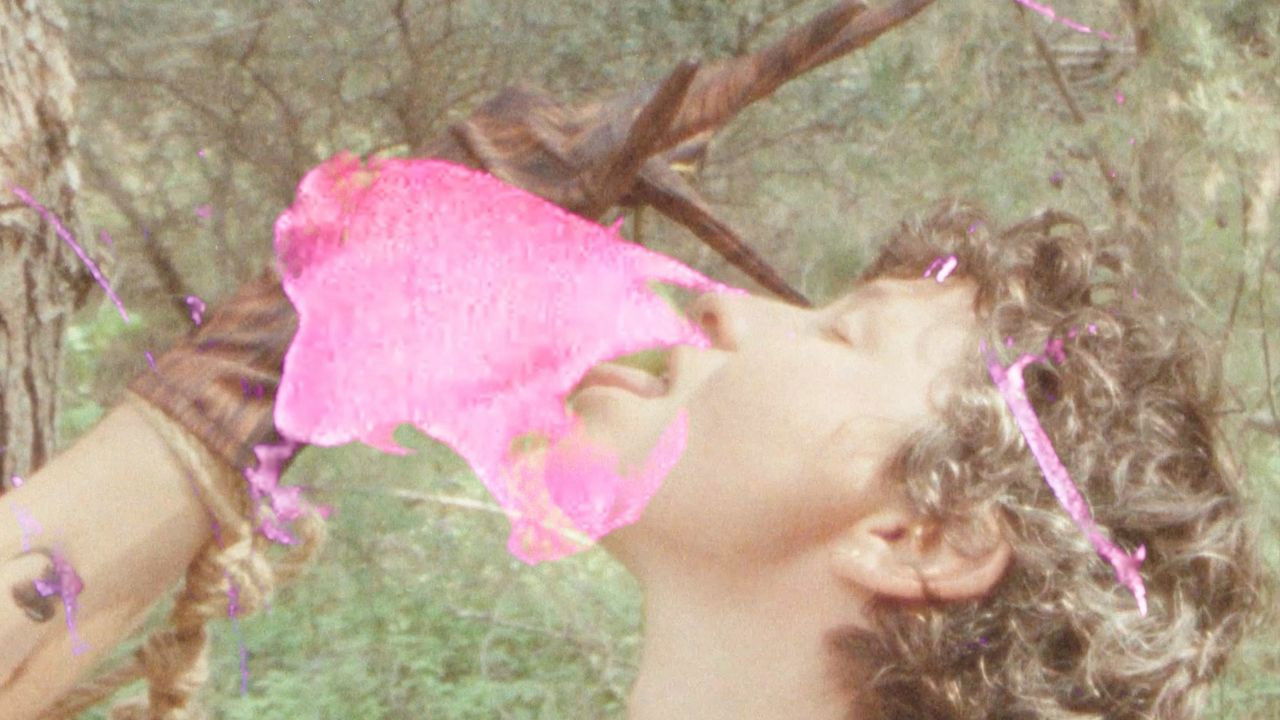 Metamorphosis backdrop