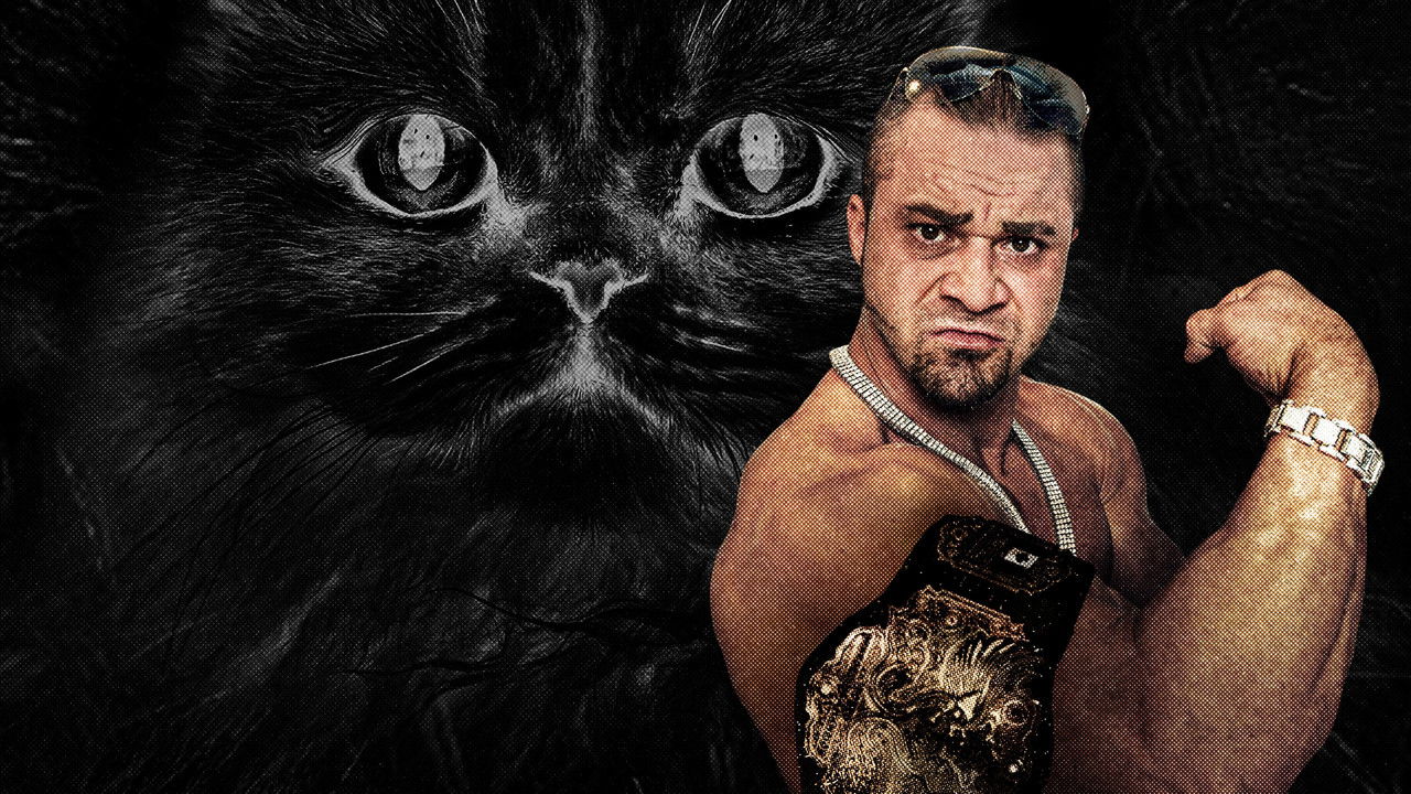 Dangerous Breed: Crime. Cons. Cats. backdrop