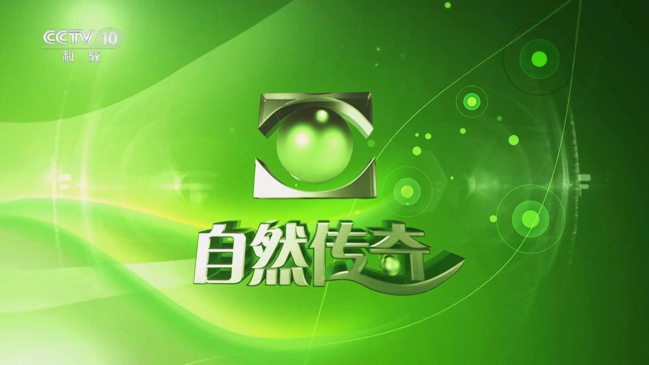 自然传奇 backdrop