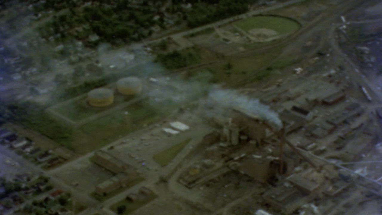 There's Wood in my Yard backdrop