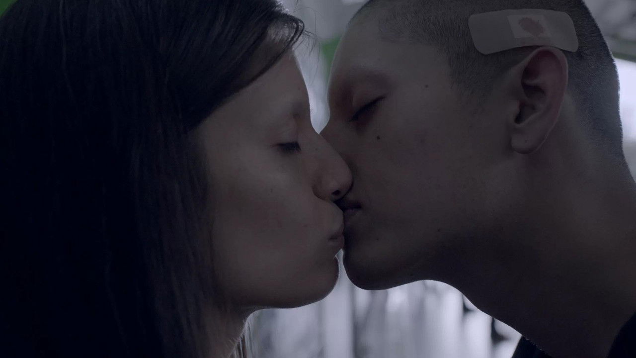 50 or Two Whales Meet at the Beach backdrop