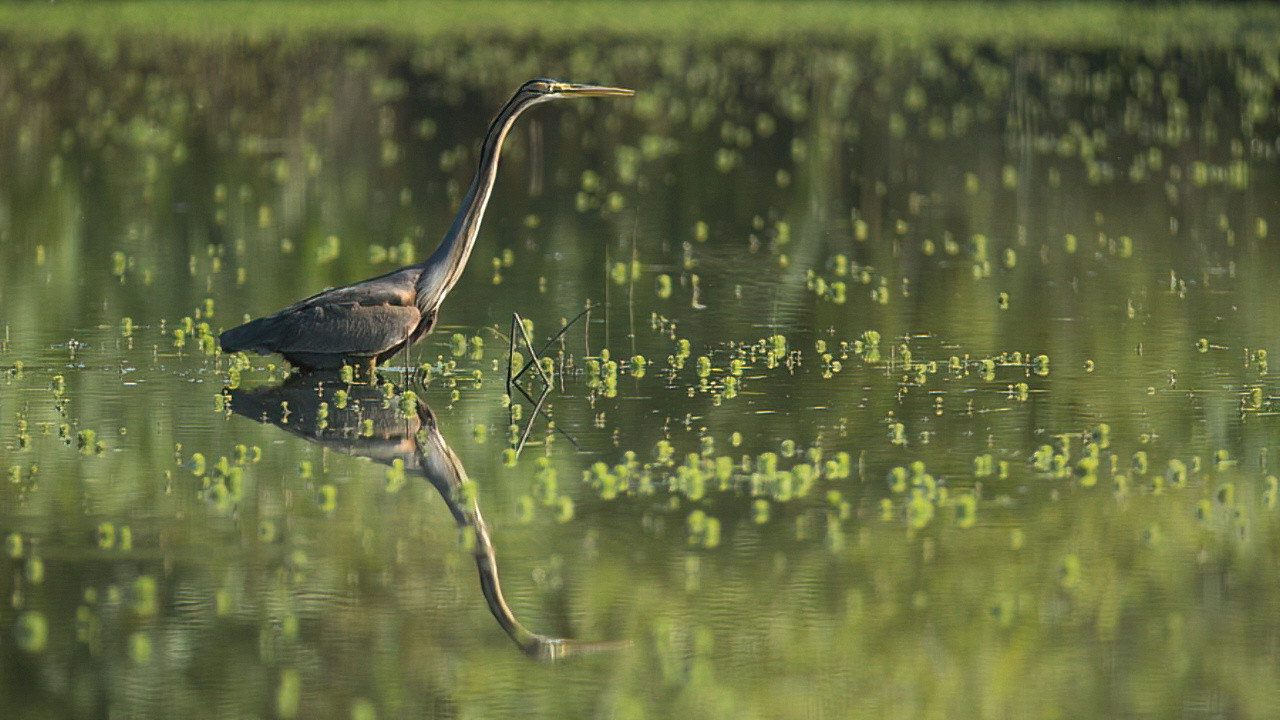 Encontro D'Águas - Segredos da Ria e do Baixo Vouga Lagunar backdrop