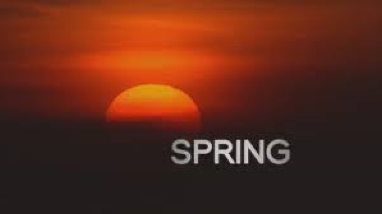 Wild Kingdom backdrop