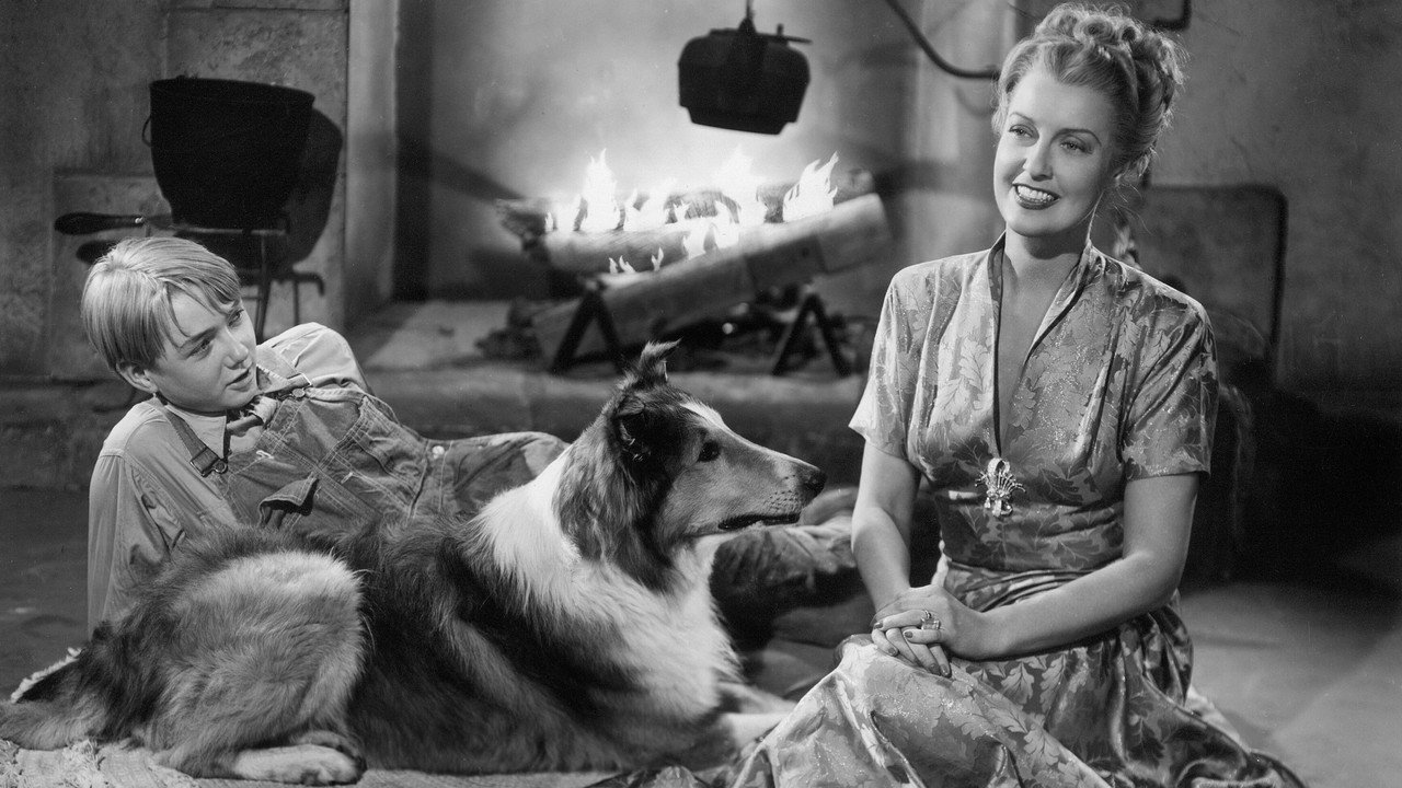 The Sun Comes Up backdrop