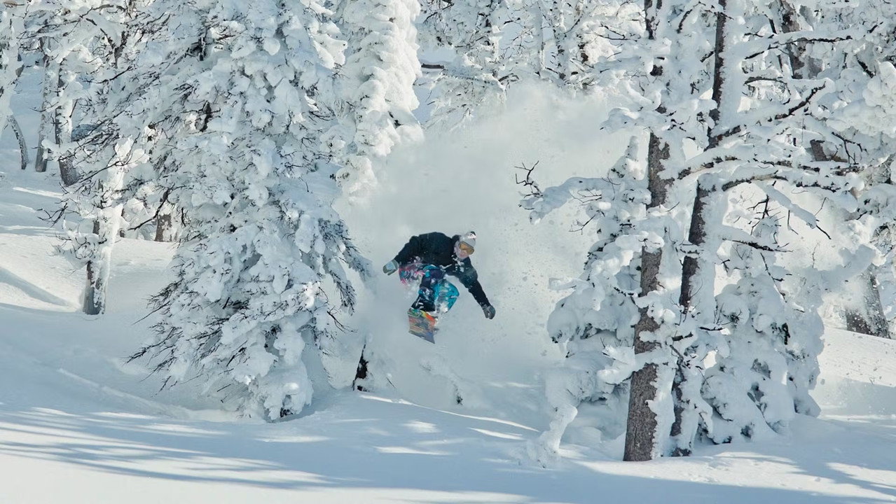 Art of Flight: The Series backdrop