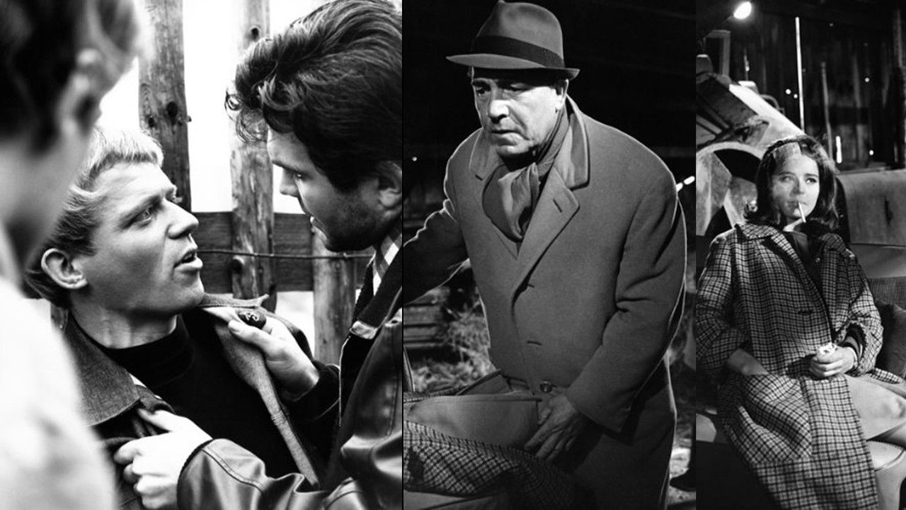 Kommissar Brahm backdrop