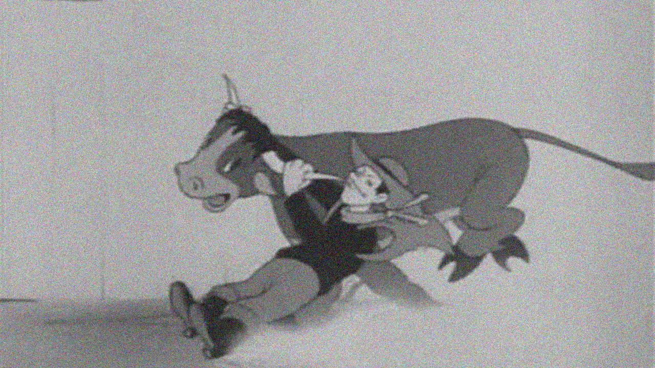 Saps in Chaps backdrop