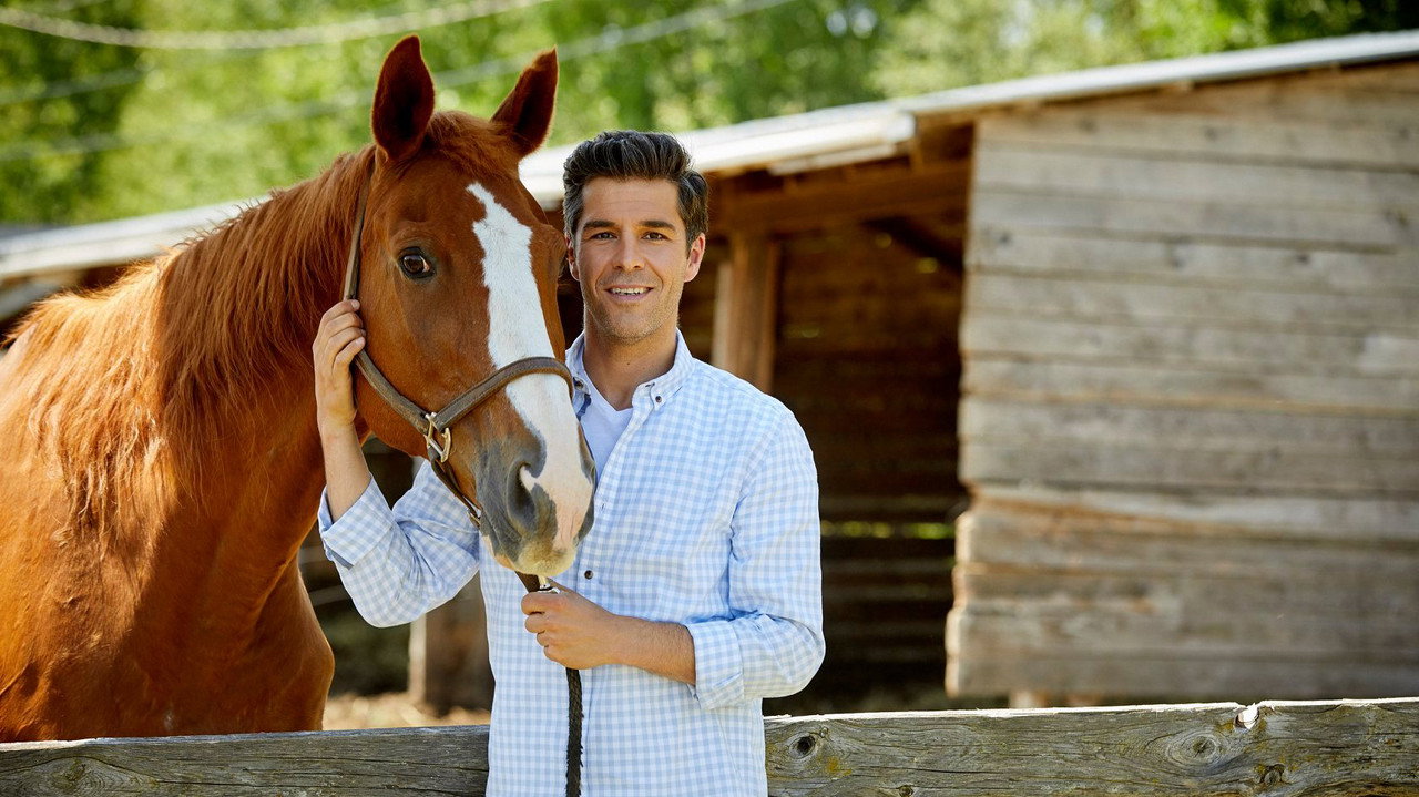 Animaux à la retraite backdrop