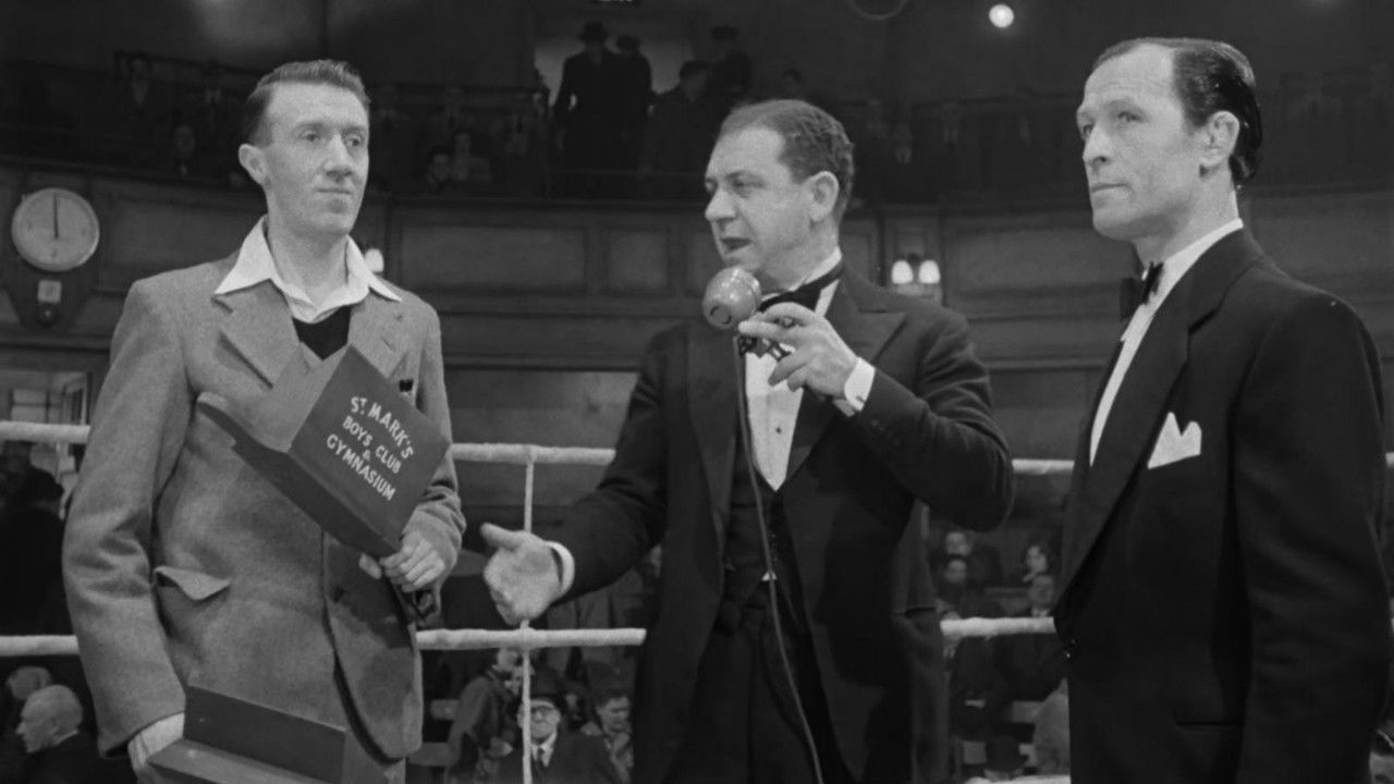 The Square Ring backdrop