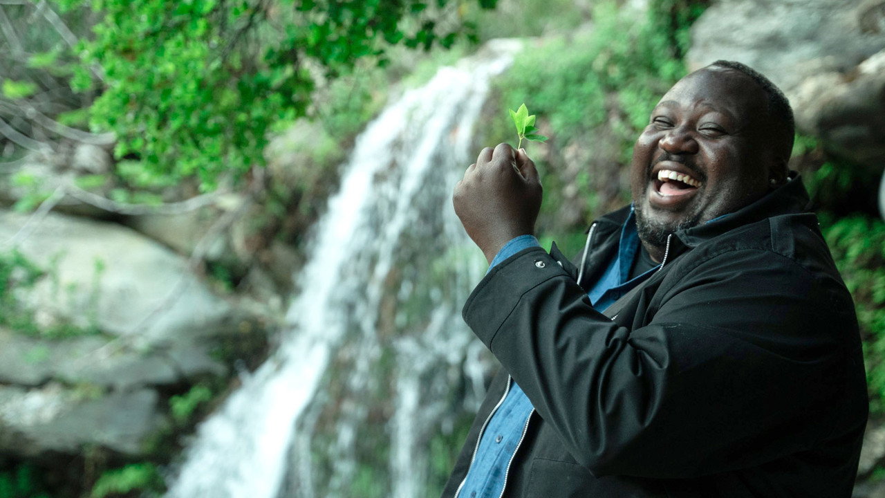 Here We Are backdrop