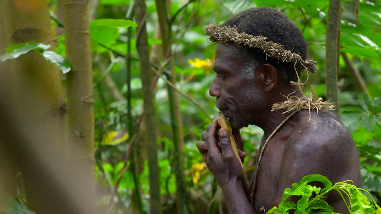 사운드 오브 뮤직: 음악의 탄생 backdrop