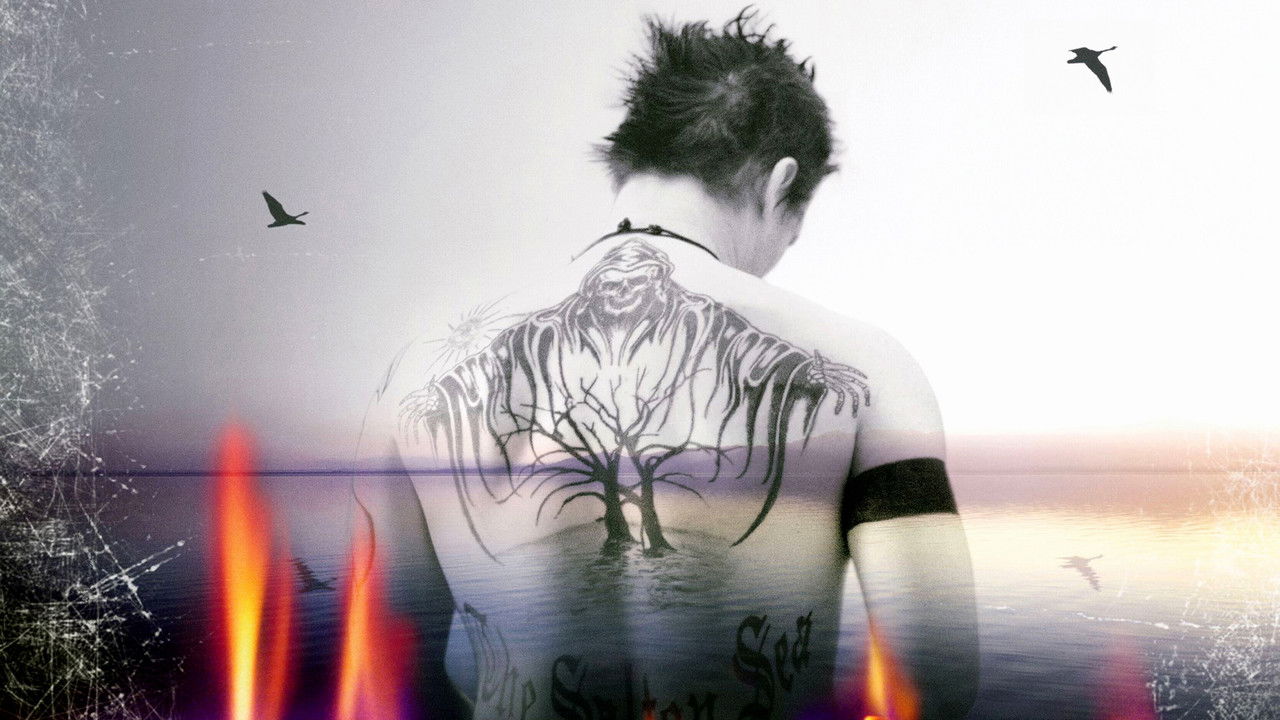 The Salton Sea backdrop