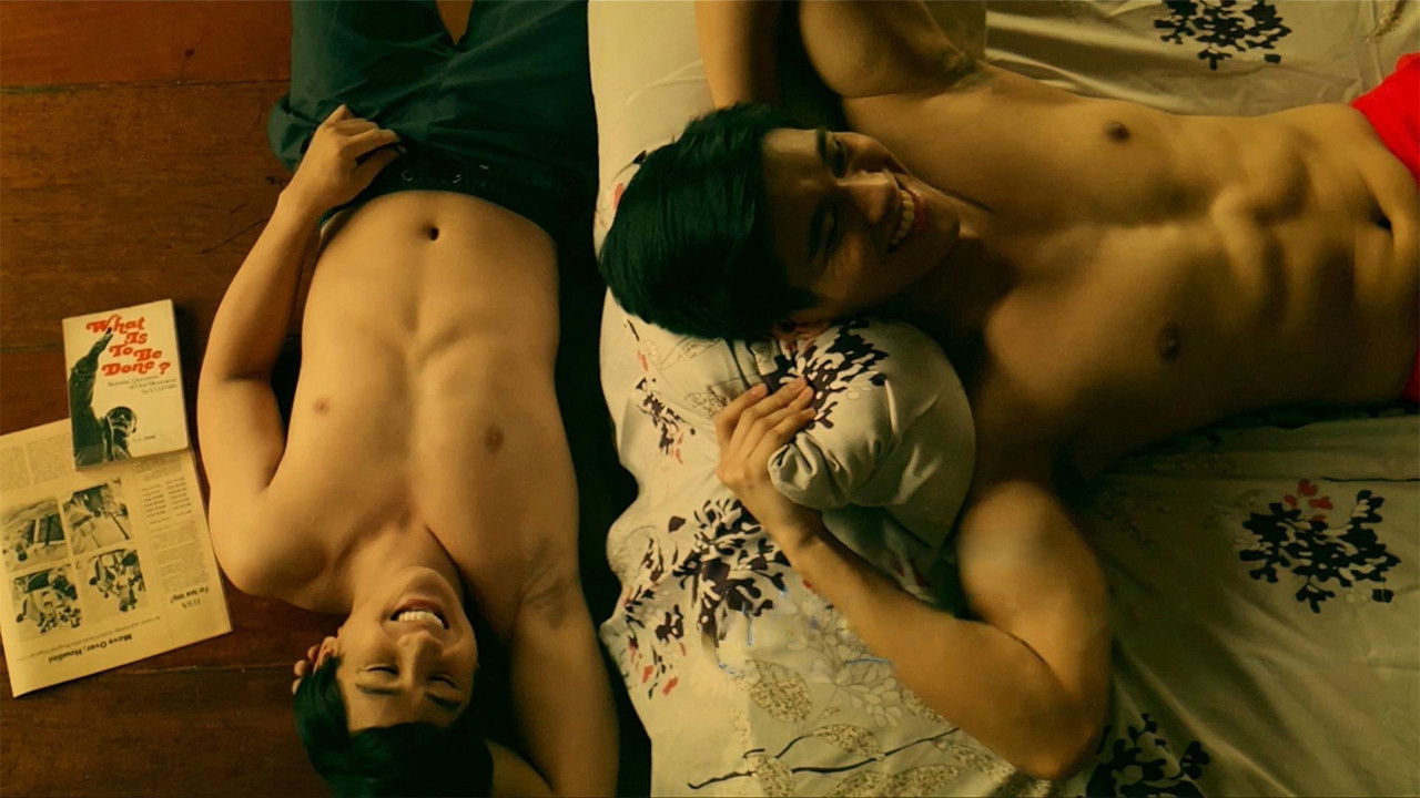 Happenstance backdrop