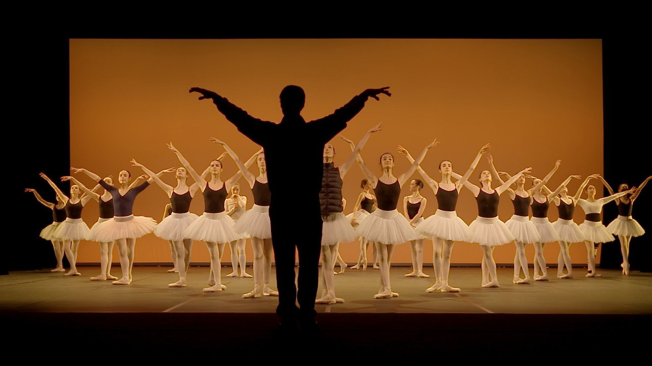 Seule la danse, une année au conservatoire de Paris backdrop