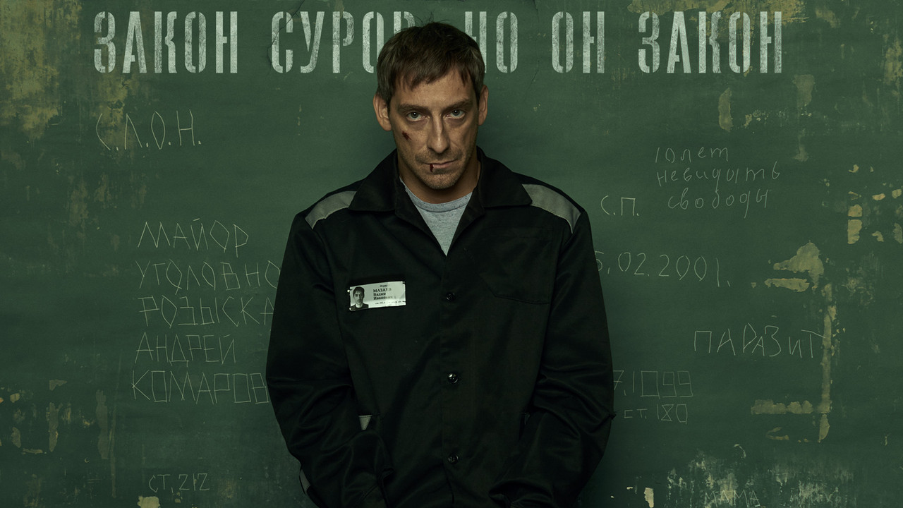 Северная звезда backdrop